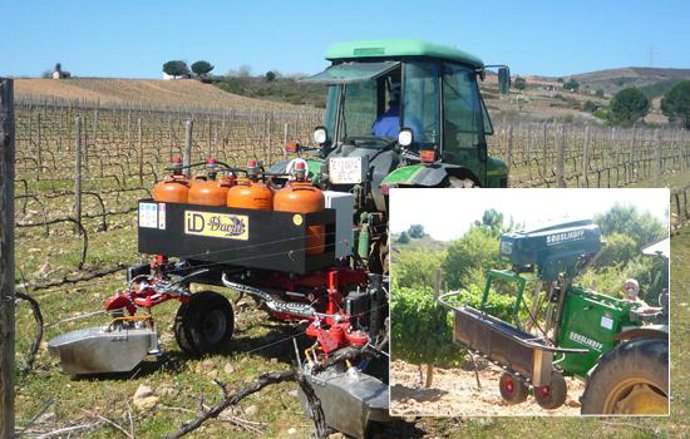 Proyecto de I+D+i para mejorar la calidad de los suelos