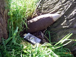 Proyectil encontrado