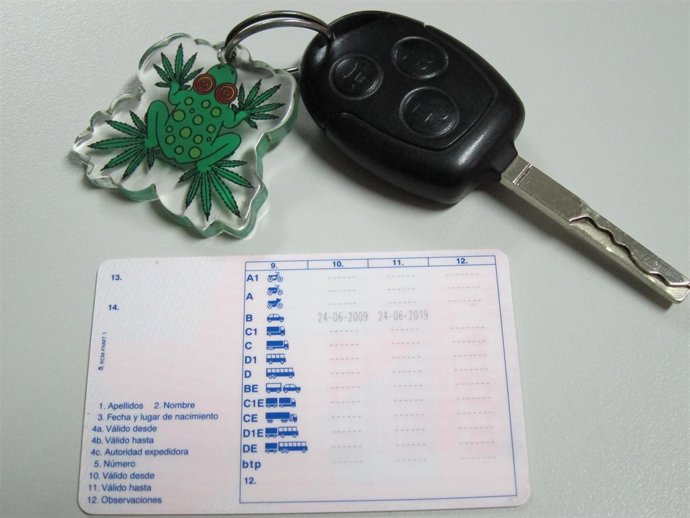 Carné de Conducir