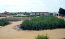 Zona de humedales en el centro experimental de la Fundación Centa