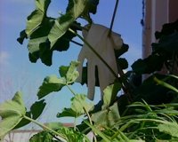 Vecinos de Navalmoral aseguran que el cuerpo hallado en el maletero de un vehículo estaba "amordazado"