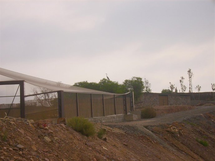 Una de las garzas de Terra Natura