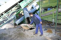 Los 27 hablarán este jueves de las ayudas al aceite de oliva que reclama España