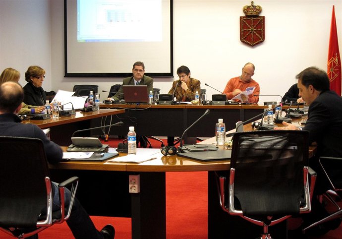 La consejera de Desarrollo Rural y Medio Ambiente del Gobierno navarro, Begoña S