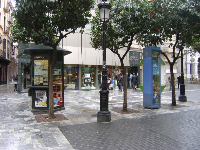 Alcorque ecológico en la Plaza de San Bartolomé de Murcia