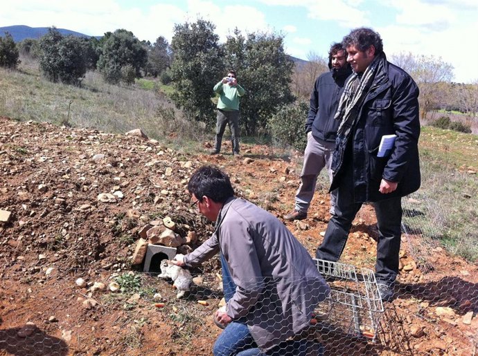 El director general en la suelta de conejos