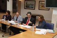 Canarias asegura que su deuda de 2010 cumple con los objetivos de estabilidad del Gobierno