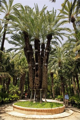 Fundación Félix Rodríguez de la Fuente