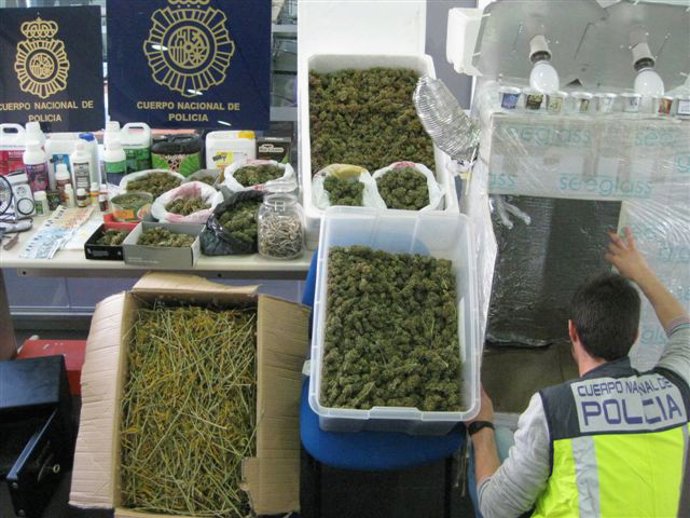 Droga incautada en la operación desarrollada en Busot