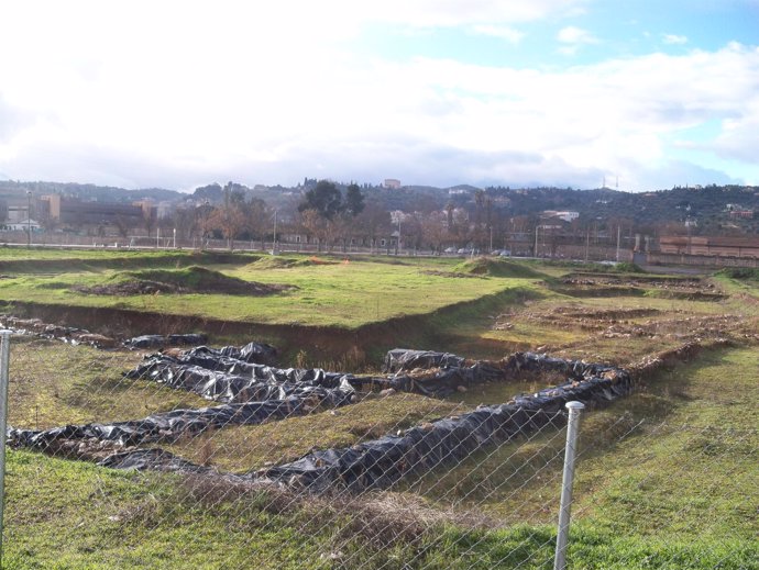 Yacimiento arqueológico de la Vega Baja