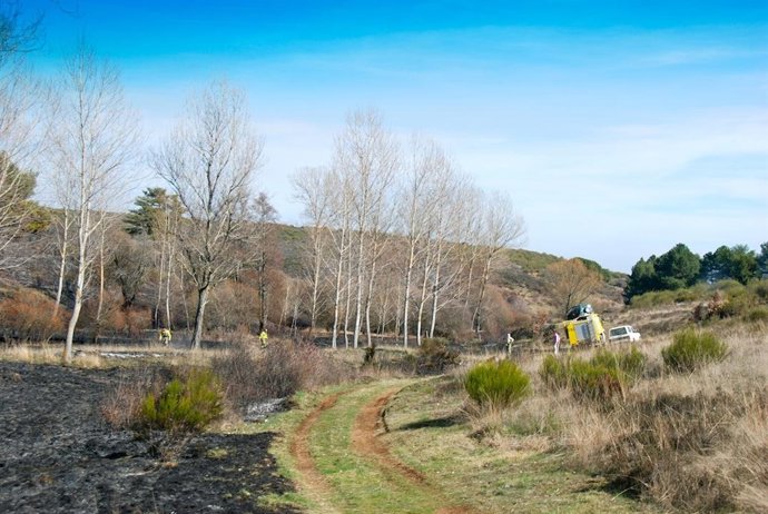 La zona arrasada por el incendio.