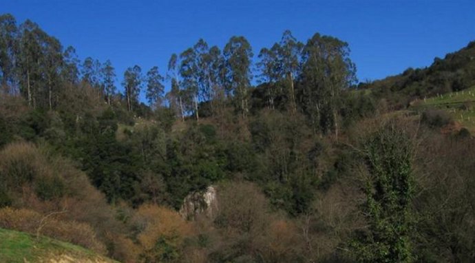 Luz casual para el día