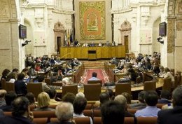 Imagen Del Pleno Del Parlamento