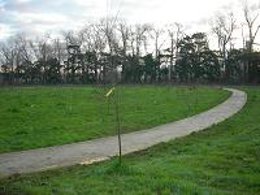 Bosque 'Cantabria Futura'