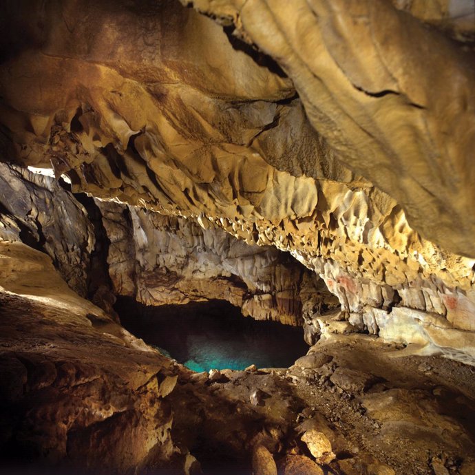 se permiten perros en la cueva del mamut