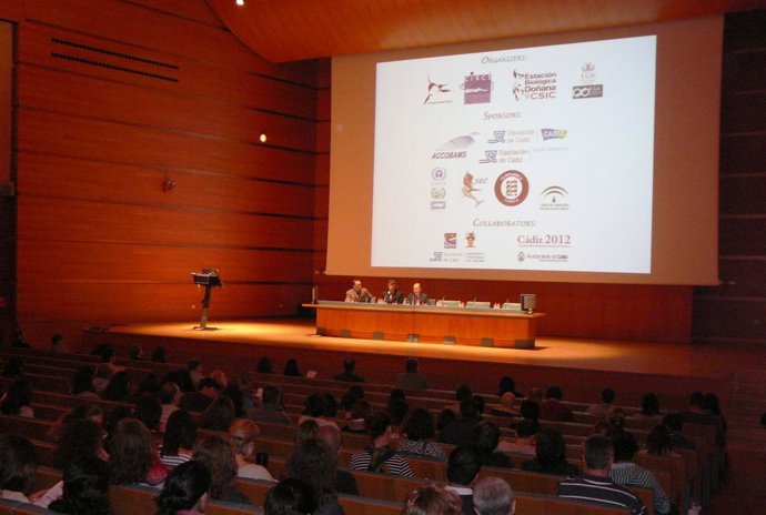 El consejero de Medio Ambiente de la Junta de Andalucía, José Juan Díaz Trillo, 