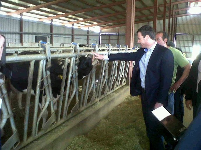 Tomás Gómez en Guadalix de la Sierra