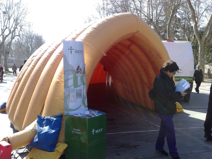 Exposición 'Un paseo por el colon' en Valladolid.