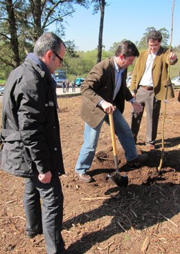 Juárez y Vázquez árbol