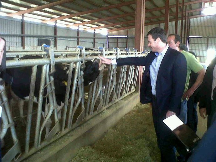 Tomás Gómez en Guadalix de la Sierra