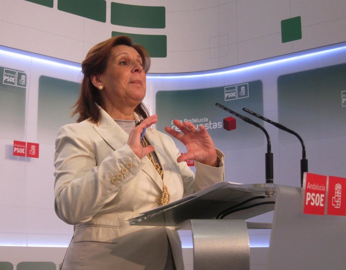 Rosa Torres, este lunes en rueda de prensa
