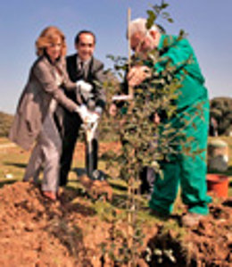 Botella apuesta por plantación de árboles contra el CO2