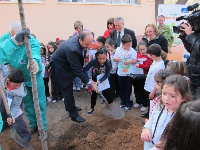 guijarro plantando arbol