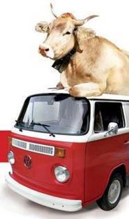 CAMPAÑA DE CONSUMO DE CARNE DE VACUNO