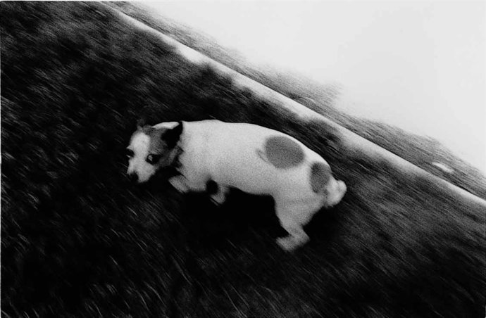 UNA DE LAS FOTOGRAFÍAS DE VARI CARAMÉS