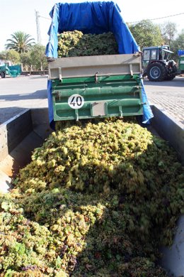 Cooperativa agrícola productora de vino
