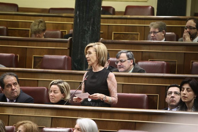 Rosa Díez, diputada de UPyD, en el Pleno del Congreso