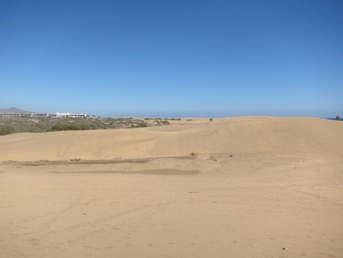 Dunas de Maspalomas, en San Bartolomé de Tirajana (Gran Canaria)