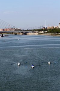Fenacore pide al Consejo Nacional del Agua medidas urgentes para cumplir la sentencia del TC sobre el Guadalquivir