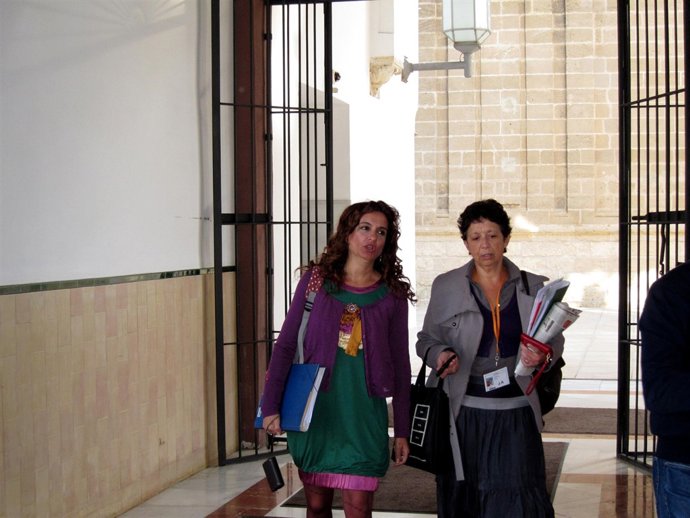 La consejera de Salud, María Jesús Montero, a su entrada al Parlamento andaluz