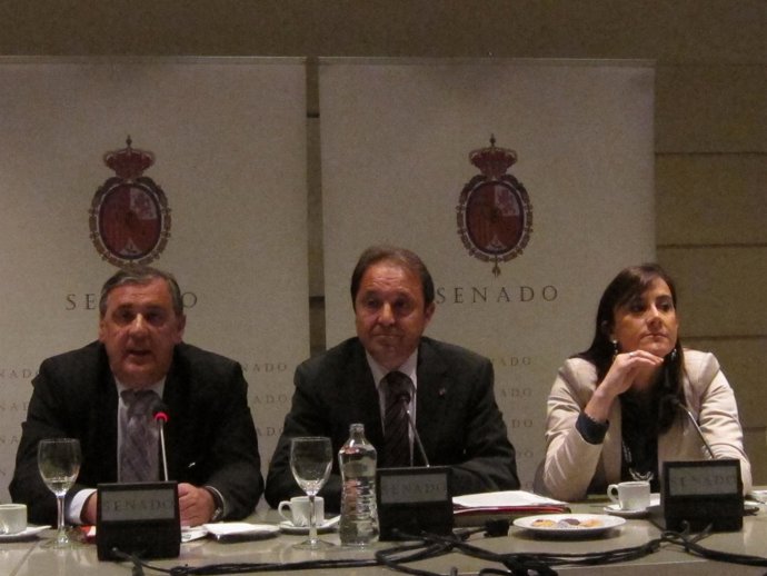 Los senadores del PSOE por CyL