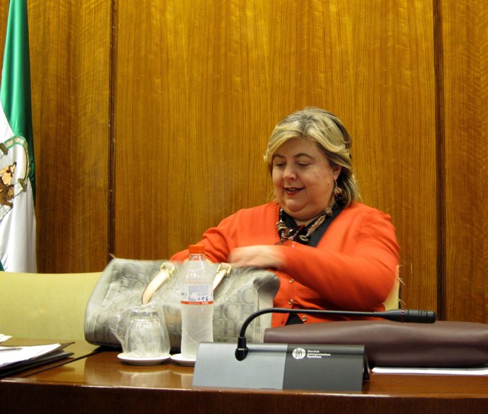 La consejera de Agricultura y Pesca, Clara Aguilera, hoy en la Comisión de Agric