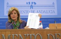 PP-A pide amparo a Coves por "no obtener respuesta" por parte de la Junta en las preguntas realizadas sobre el caso ERE