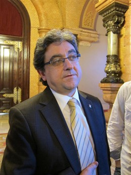 El diputado Enric Millo