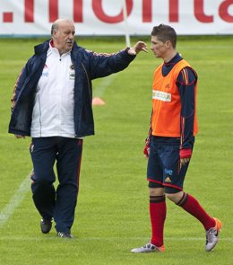 Vicente del Bosque y Fernando Torres