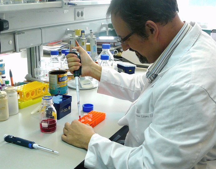 El Profesor de Biología Celular de la Olavide, Guillermo López Lluch, en su labo