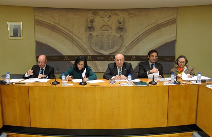 El consejero, Luis Alegre, ha comparecido ante la sala de Diputación Permanente 