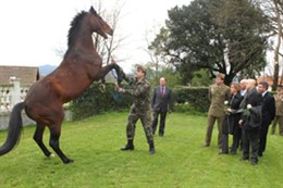 Yeguada de Lore-Toki 