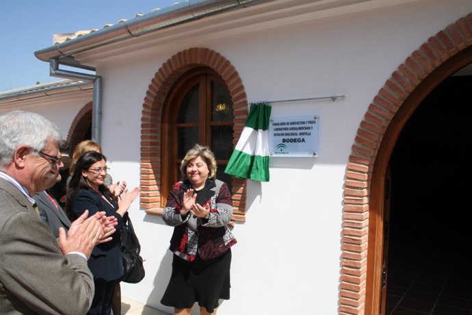 Consejera de Agricultura de la Junta de Andalucía, Clara Aguilera