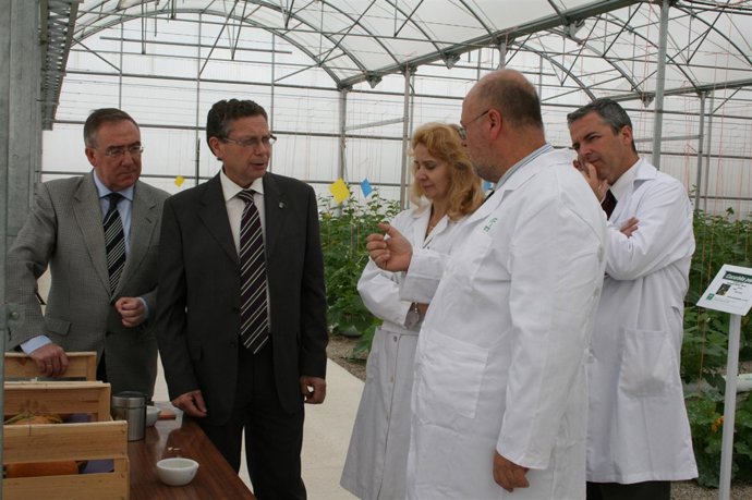 El presidente de Ifapa, Javier de las Nieves, visita un invernadero. 