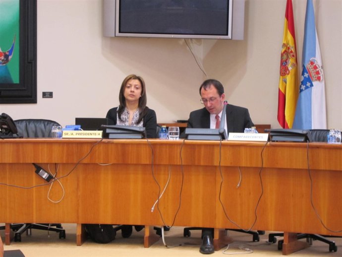 Anxo Lorenzo en comisión parlamentaria