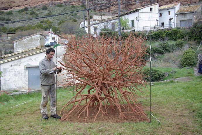 Instalación del artista Olivier de Sépibus