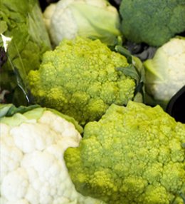 Variedades de brócoli