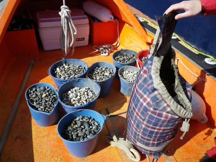 OS GARDACOSTAS INCAUTAN 744 ÚTILES E COMISAN MÁIS DE 1.100 QUILOS DE PEIXE E MAR