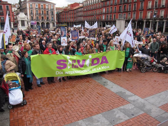 Manifestación a favor de la vida en la Plaza Mayor de Valladolid