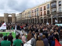 Medio millar de personas se concentra contra el aborto en Ávila